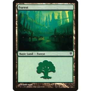 Forest