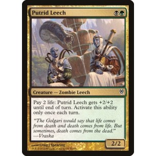 Putrid Leech