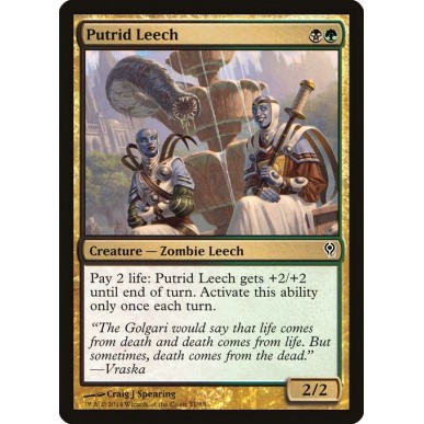 Putrid Leech