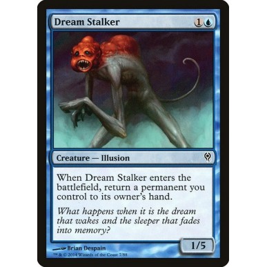 Dream Stalker