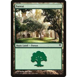 Forest