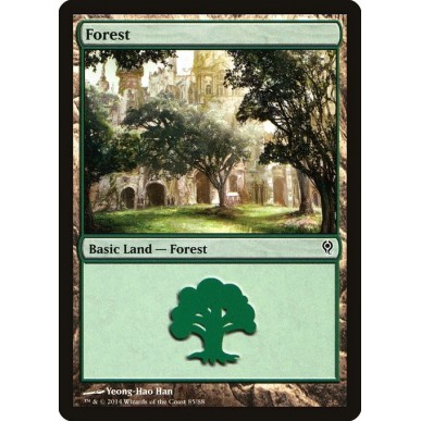 Forest