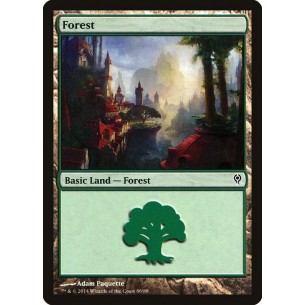 Forest