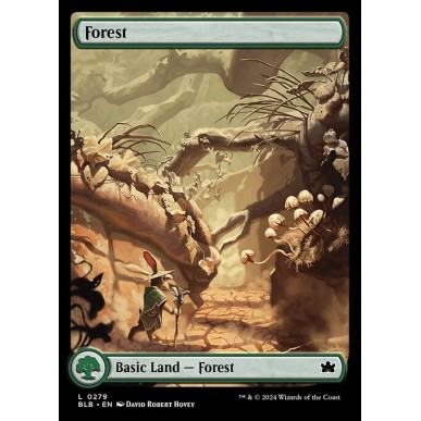 Forest