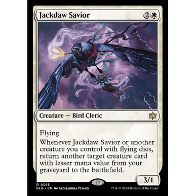 Jackdaw Savior