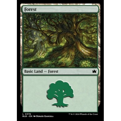 Forest