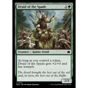 Druido della Vanga