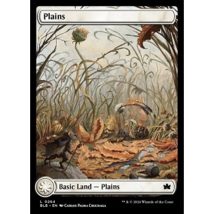 Plains