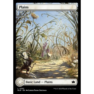Plains