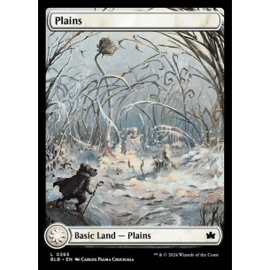 Plains