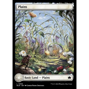 Plains