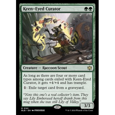 Keen-Eyed Curator