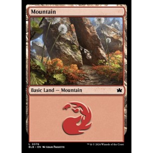 Mountain