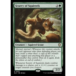 Scurry of Squirrels