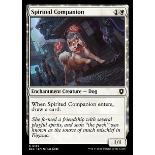 Spirited Companion
