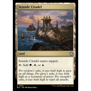 Seaside Citadel