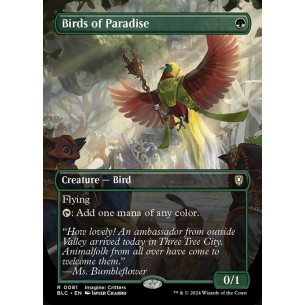 Birds of Paradise