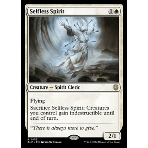 Selfless Spirit