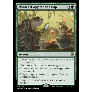 Rootcast Apprenticeship