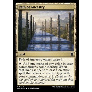 Path of Ancestry