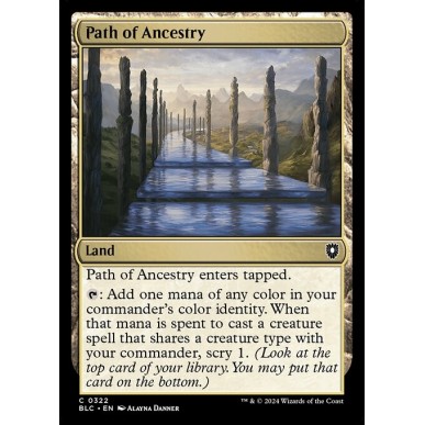 Path of Ancestry