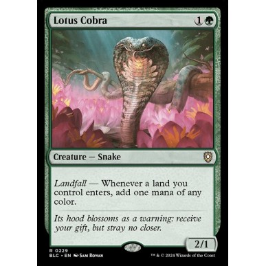 Lotus Cobra