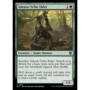 Sakura-Tribe Elder