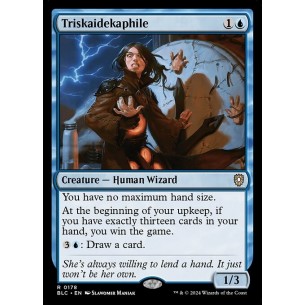 Triskaidekaphile