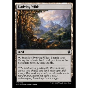 Evolving Wilds