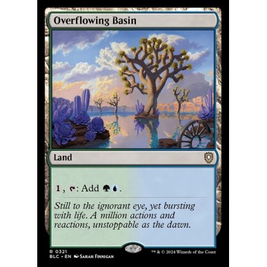 Overflowing Basin