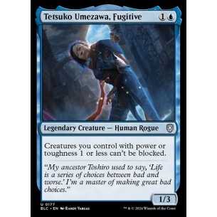 Tetsuko Umezawa, Fugitive