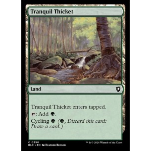 Tranquil Thicket