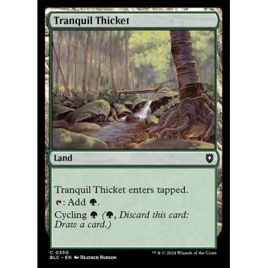 Tranquil Thicket