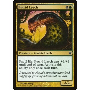 Putrid Leech