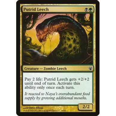 Putrid Leech