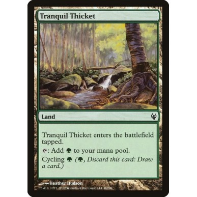 Tranquil Thicket