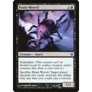 Brain Weevil