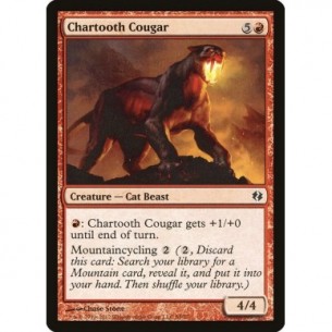 Chartooth Cougar
