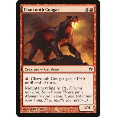 Chartooth Cougar