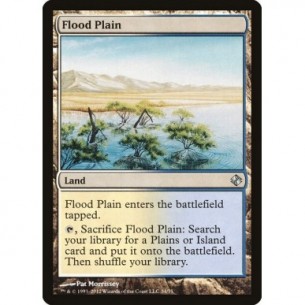 Flood Plain