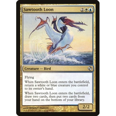 Sawtooth Loon