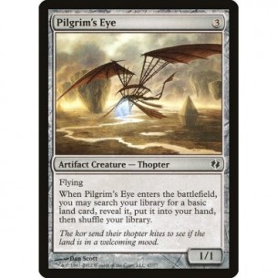 Pilgrim's Eye