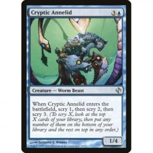 Cryptic Annelid