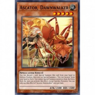 Ascator, Camminatore dell'Alba