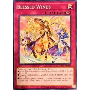 Blessed Winds