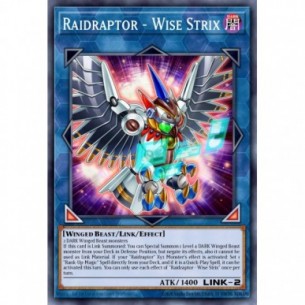 Raidraptor - Wise Strix