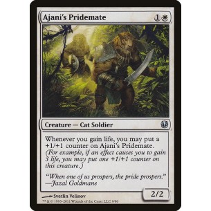 Compagno di Ajani
