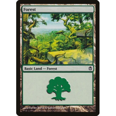 Forest