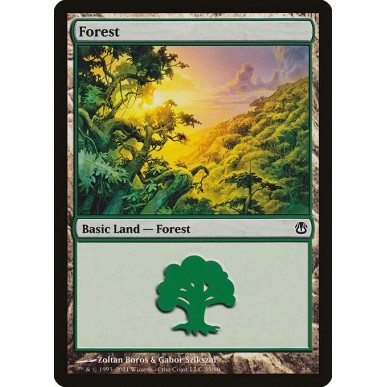 Forest