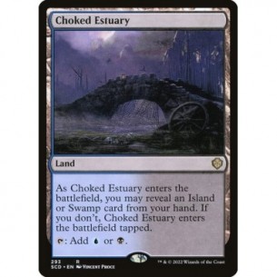 Choked Estuary